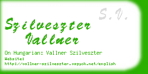 szilveszter vallner business card